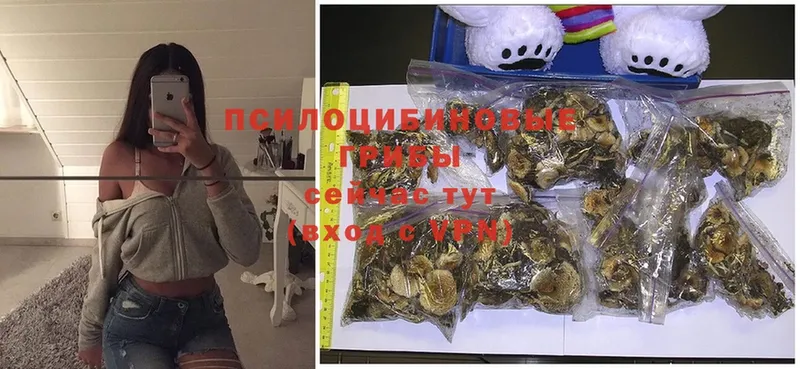 Псилоцибиновые грибы MAGIC MUSHROOMS  дарнет шоп  Ипатово 