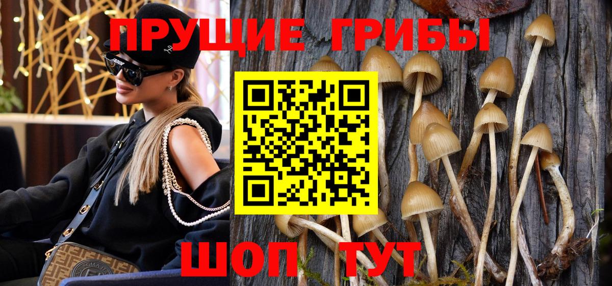 Псилоцибиновые грибы GOLDEN TEACHER  Галлюциногенные грибы ЛСД  Ипатово  Вход с VPN 