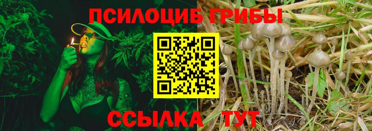 как найти наркотики  Ипатово  Псилоцибиновые грибы Cubensis 
